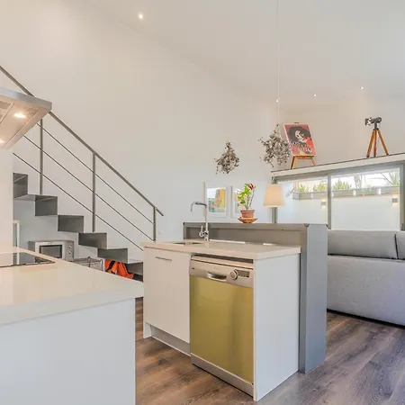 Apartment Loft Miro