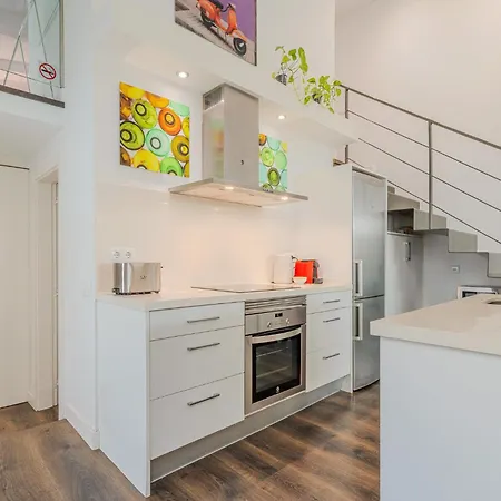Appartement Loft Miro *